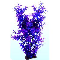 29b81a8d9f8b8ceea5373a6a14667e0e