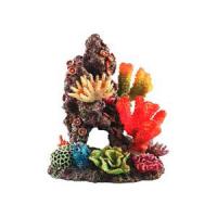 FAUNAINTERNATIONAL161319 FAUNAINTERNATIONAL161319