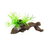 a13e97a85a5590e42992de00a8537249