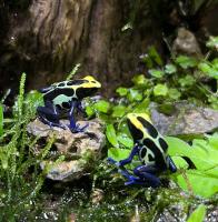 image-04-07-22-03-28 image-04-07-22-03-28