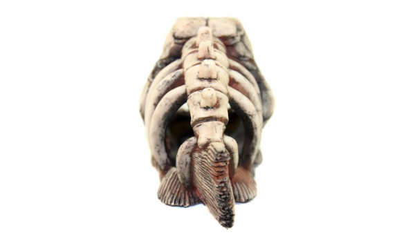 dekoratsiya_dlya_akvariuma_deksi_901_02