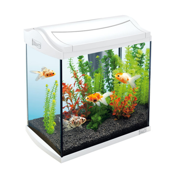 265f47ea-41f3-468a-a86c-6876b9b6c9d5