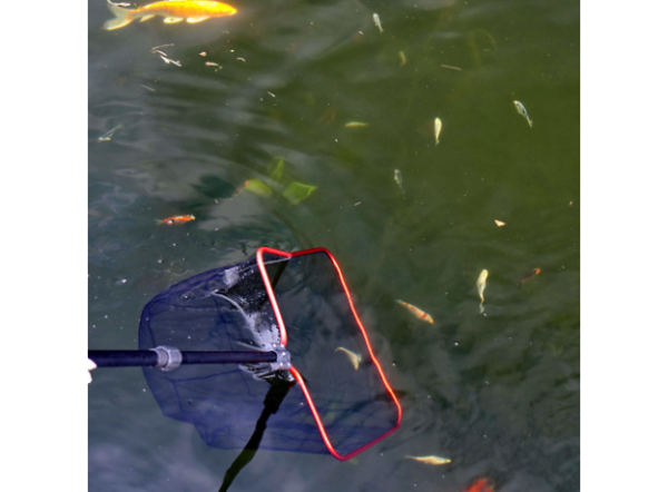 Сачок для пруда JBL pond fish net S fine 40х35см тонкая сетка с телескопической ручкой 160см