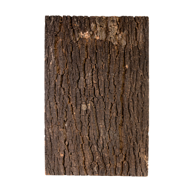 65913ffc81ee8b3d1562ab674b259f1f