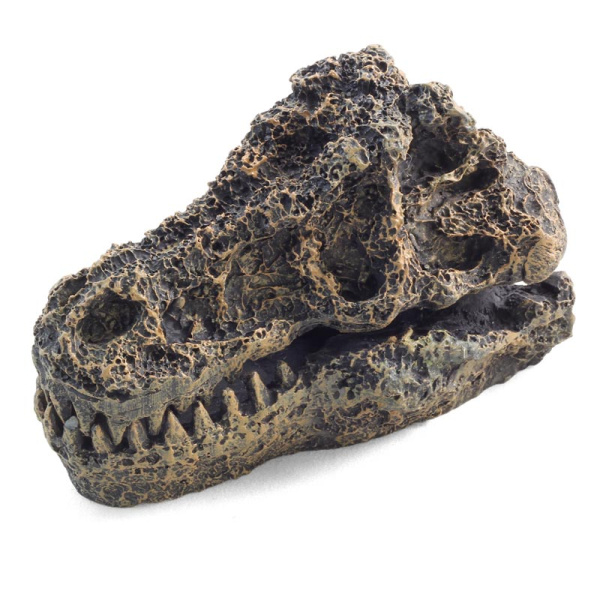 a9976cc8-c807-11e5-b2bc-005056bf744c