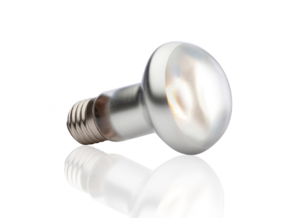 Лампа для баскинга Sun Glo Tight Beam, S 25, 100 Вт