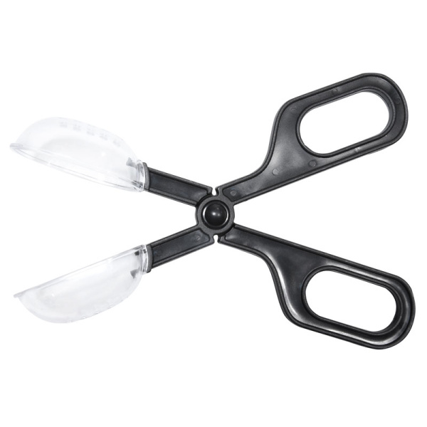 f198759a-bd44-11eb-a3b8-00505694261d