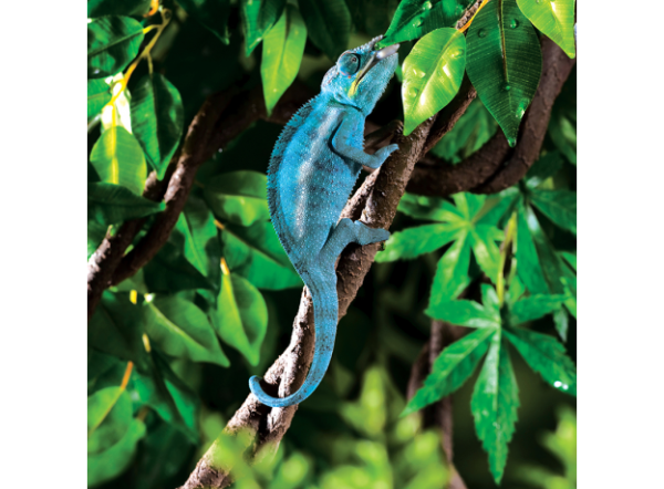 Тропическое растение Jungle Plants пластиковое, Виноградная лоза, большое