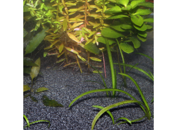 JBL Sansibar BLACK - Декоративный грунт для аквариума, черный, 10 кг.