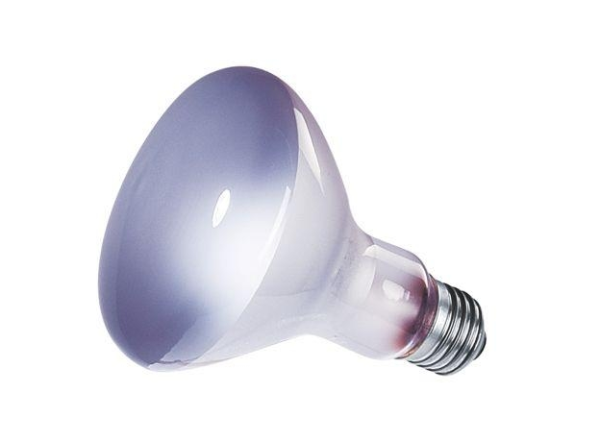 Лампа для рептилий дневная Repti-Zoo Repti Day, 60Вт, Е27 (R0328/B63050)