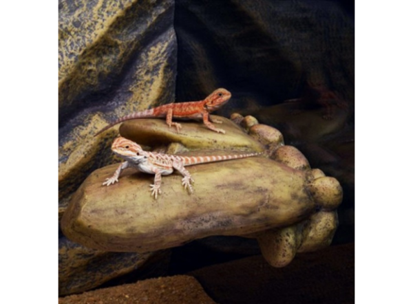 Естественное убежище-Elevated Outcrop -средний