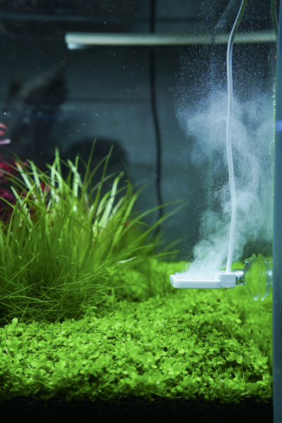 20191017140463546354