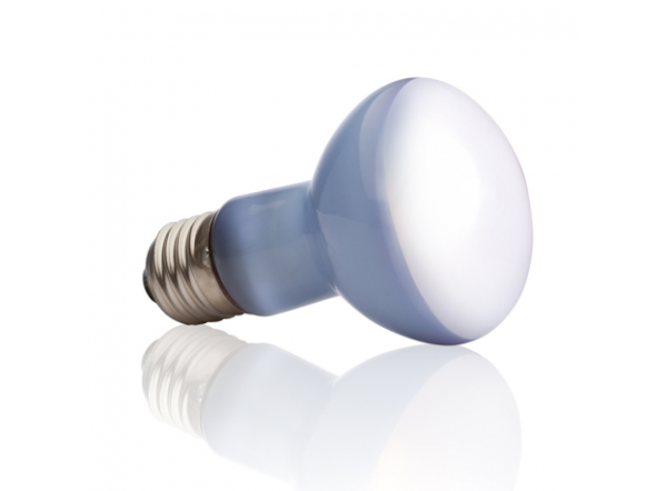 Лампа day light basking spot R20 75 Вт