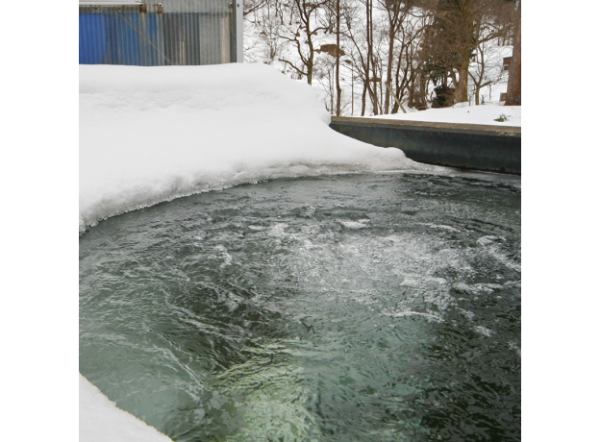 JBL PondOxi-SetJBL PondOxi-Set - Система аэрации для садовых прудов