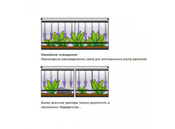 Лампа Exo Terra Т8 Repti Natural light 25Вт, UVB100, 2.0, 74см Лампа Exo Terra Т8 Repti Natural light 25Вт, UVB100, 2.0, 74см