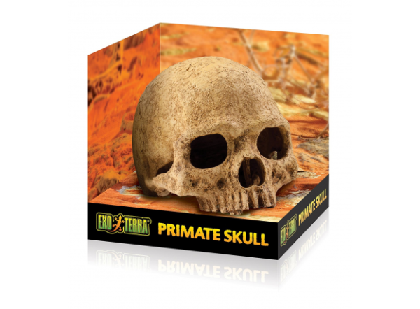 Декор череп примата для террариума