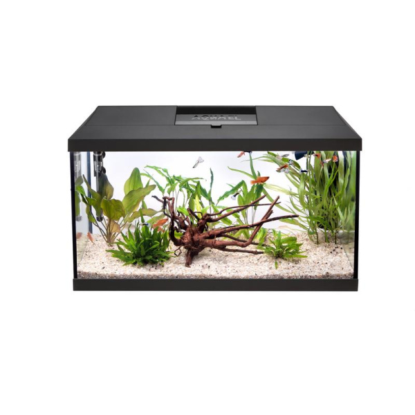 122728_122473_122731_front 1