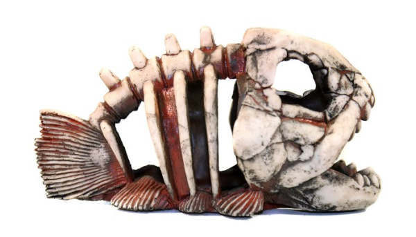 dekoratsiya_dlya_akvariuma_deksi_901_01