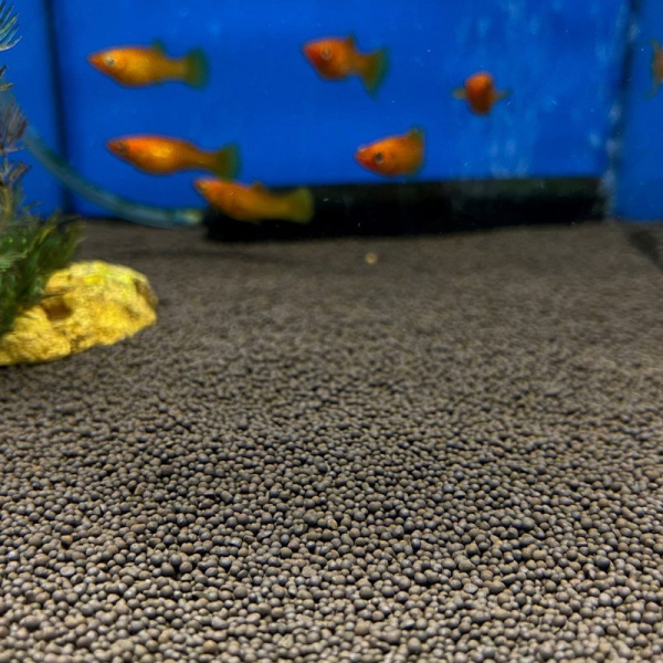 3-9296f6c4fa7b89918a364bcb850a1919