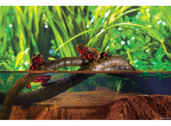 Тропическое растение Jungle Plants пластиковое, Виноградная лоза, большое