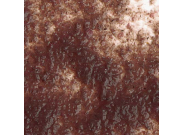 Натуральный корм (желе дафния) Tetra FreshDelica Daphnien 48 гр.