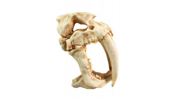 dekoratsiya_dlya_akvariuma_deksi_1005_dinosaurs_02