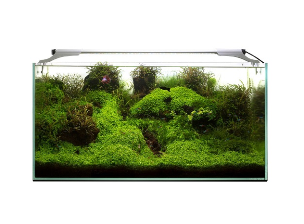 Светильник Aquael LEDDY SLIM PLANT 2.0 10Вт, для аквариумов 50-70см, белый Светильник Aquael LEDDY SLIM PLANT 2.0 10Вт, для аквариумов 50-70см, белый