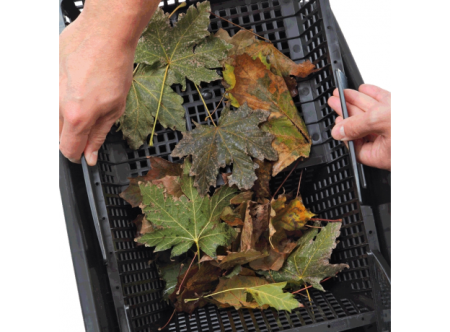 Береговой скиммер Oase BIOsys Skimmer+ (до 60м2)