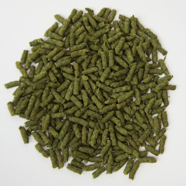 2-11d40a28b229aa416b85684d8b8b28d3 2-11d40a28b229aa416b85684d8b8b28d3