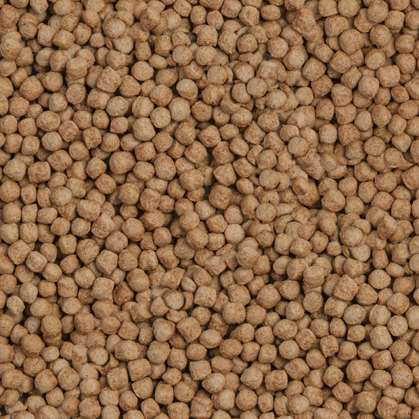 sera_Koi_Royal_Nature_Medium_Detail