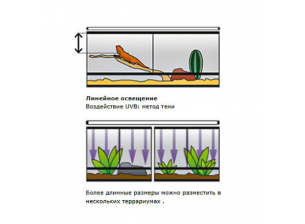 Лампа Т8 для тропических террариумов Exo Terra Repti Glo 5.0 UVB100, 25Вт, 75см