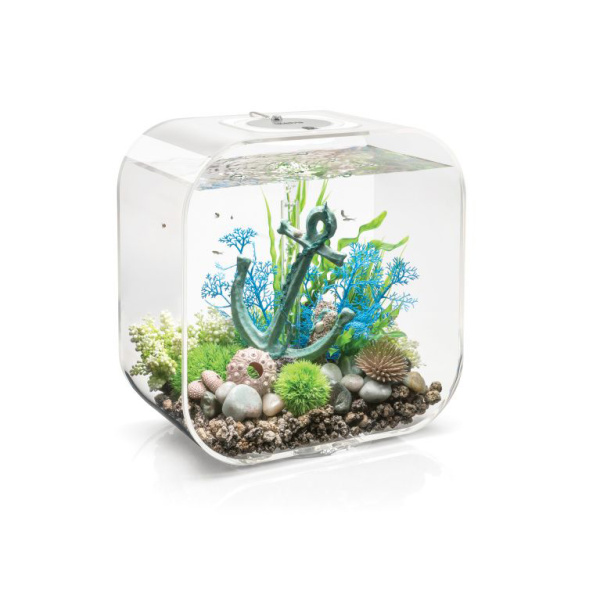 s501713486532123460_p643_i6_w640