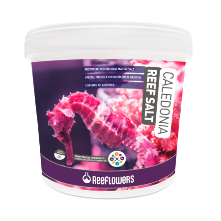 caledonia-reef-salt