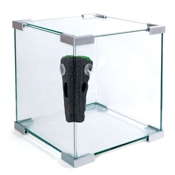 b07dc1e2-6471-11eb-9be2-00505694261d