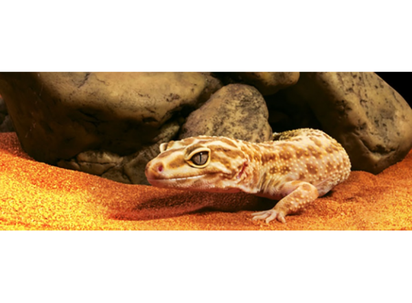 Естественное убежище-грот Reptile Cave, 11x20,5x25,5см