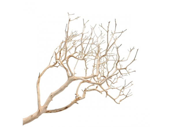 Коряга "Тайское дерево" для аквариумов и террариумов UDeco Thai Tree XXS 0,01-0,02 кг