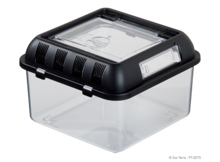 Контейнер для разведения Breeding Box малый