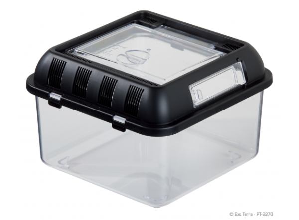 Контейнер для разведения Breeding Box малый