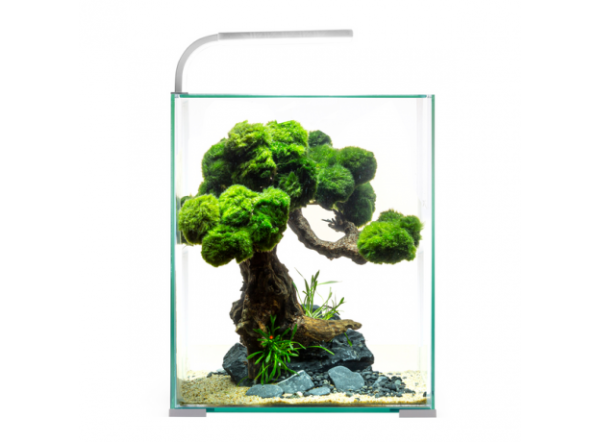 Аквариум AQUAEL SHRIMP SET DAY&NIGHT 10, 10л, белый, 20х20х25 с оборудованием