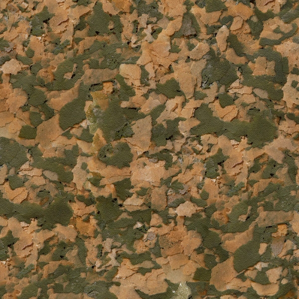 sera_San_Nature-Detail