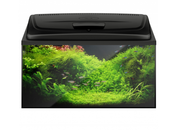 Аквариум прямоугольный Aquael AQUA4 FAMILY 80, 112л, DAY&NIGHT 80х37х49см (фильтр, LED, нагреватель)