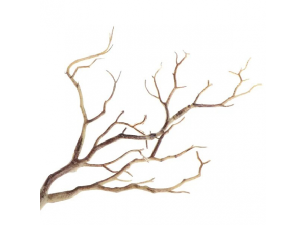 Коряга "Тайское дерево" для аквариумов и террариумов UDeco Thai Tree S 0,05-0,1 кг