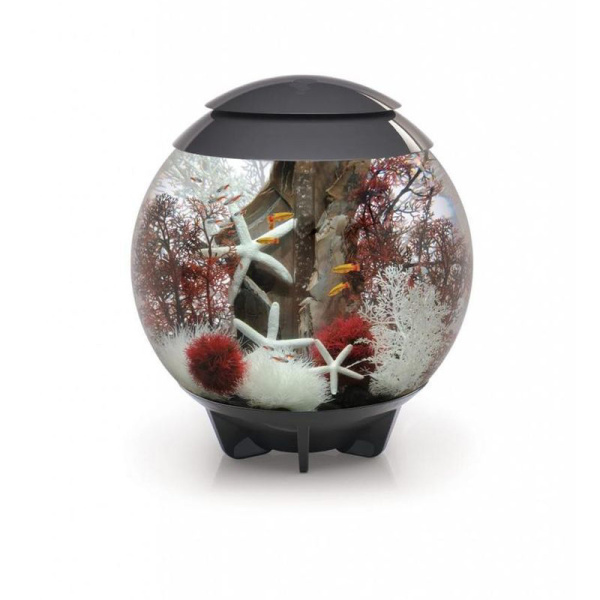 dcca60cdf2b2d92062352c6f709caee1_cheap-fish-tanks-acrylic-aquarium