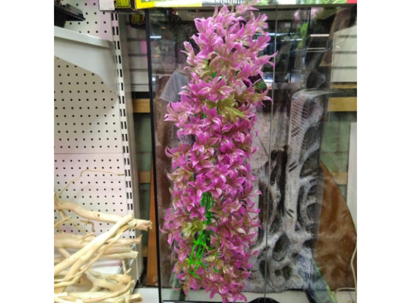 Растение для террариума Repti-Zoo с присоской, пластиковое, 50см (7017REP)