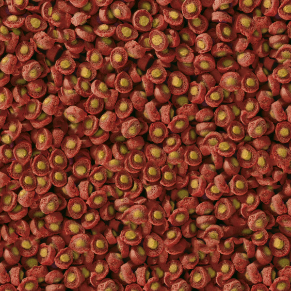 sera_Koi_Professional_Fruehjahr_Herbstfutter-Detail