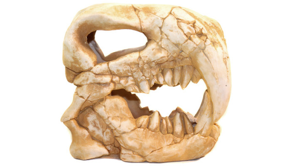 dekoratsiya_dlya_akvariuma_deksi_1002_dinosaurs_02