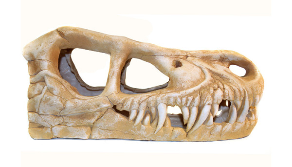 dekoratsiya_dlya_akvariuma_deksi_1004_dinosaurs_02