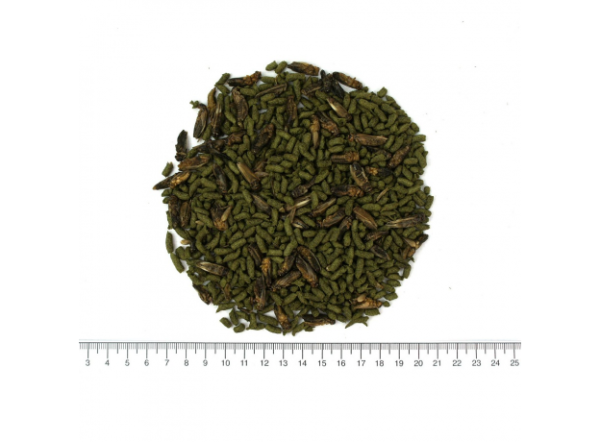 Корм Террамикс для водных черепах АКВА МЕНЮ, со сверчком 250мл/60г Корм Террамикс для водных черепах АКВА МЕНЮ, со сверчком 250мл/60г