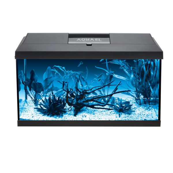 122728_122473_122731_front 2