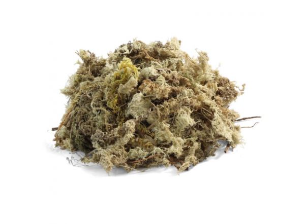 Мох Cфагнум Laguna, 100г, брикет